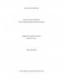 ANÁLISIS DE ESTADOS. FINANCIEROS