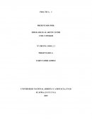 Practica 2 finca Pequín