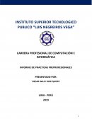 Informe de practicas profesionales - computacion