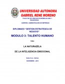 Naturaleza de inteligencia emocional