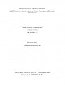 Unidad 3 Proyectos de Educación Inclusiva con el Uso de Tecnologías de la Información y la Comunicación