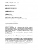 Análisis BEROOMERS, S.L