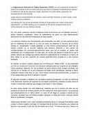 La Organización Nacional de Ciegos Españoles (ONCE)