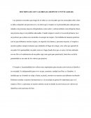 DOCTRINA DE LOS VALORES (EL RESPETO Y PUNTUALIDAD)