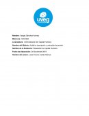 Planeacion de Capital Humano. Análisis, descripción y valuación de puesto