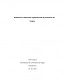 Determinar la estructura organizacional de prevención de riesgos