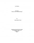 Teoria organizacional Caso Mattelsa