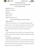 Resumen de Ámbito forestal . Temas claves para los bosques y el sector de uso del suelo