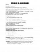 PEDAGOGIA DEL CAOS: RESUMEN