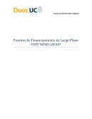 Fuentes de Financiamiento de Largo Plazo VSPT WINE GROUP