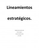 Lineamientos estrategicos. Plan de negocios