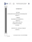 Entrevista a un programador