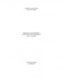 Importancia de las Humanidades