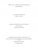 IDENTIFICACION DE CONCEPTOS Y APLICACIONES DEL MIP