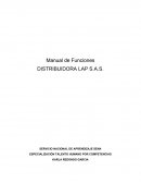 Manual de Funciones DISTRIBUIDORA LAP S.A.S.