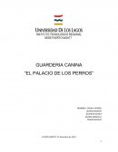 GUARDERIA CANINA “EL PALACIO DE LOS PERROS”