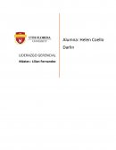 LIDERAZGO GERENCIAL