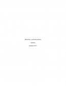 Moléculas y estructura atómica