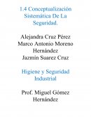 Conceptualización Sistemática De La Seguridad