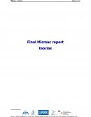 Rapport final Micmac - teorias