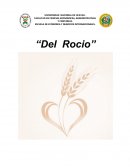 PROYECTO DE PANIFICADORA