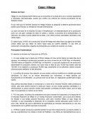 Caso: Hitega