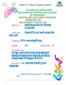 REPORTE DE INSTALACIÓN DE UNA RED LOCAL