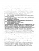 Análisis funcional. Pasos de la metodología del análisis funcional
