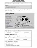 Evalaución lenguaje s/r