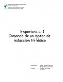 Comando de un motor de inducción trifásico