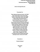 Informe Fisiologia Muscular