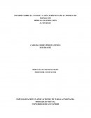 INFORME SOBRE EL CVUDES Y CARACTERÍSTICAS DE SU MODELO DE FORMACIÓN