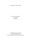 Origenes y fundamentos de la etnoeducación