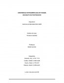 Estrategias de marketing. Análisis del caso: “Procter & Gamble”