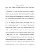 El fútbol a sol y sombra