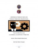 Teoría de Análisis Micro social. Los paradigmas y sus aportaciones a Trabajo Social