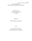 ENSAYO ARGUMENTATIVO DIMENSIONES DE LA SEGMENTACION DEL MERCADO