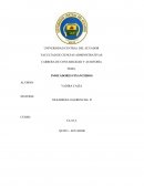 APLICACION NIIF ACTIVOS FIJOS