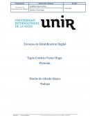 Técnicas de Identificación Digital