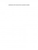 ELABORACION DE TINTAS VEGETALES PARA EL RELLENADO DE PLUMONES