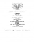 LA TERAPIA COGNITIVO-CONDUCTUAL