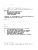 Multi - tiendas “SG FOREVER”