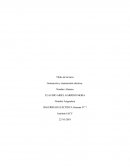 Generación y transmisión eléctrica