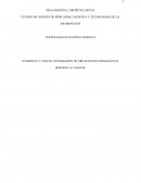 INTEGRACIÓN DE ÁREAS INVOLUCRADAS EN EL SERVICIO AL CLIENTE