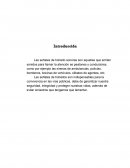 Educación vial. Importancia del respeto a las señales de tránsito en nuestro país