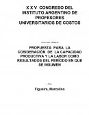 PROPUESTA PARA LA COSIDERACIÓN DE LA CAPACIDAD PRODUCTIVA Y LA LABOR COMO RESULTADOS DEL PERÍODO EN QUE SE INSUMEN