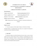 Reglas generales, reconocimiento de materiales e instrumentos del laboratorio de biología