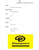 Proyecto de selección y capacitación de personal Proyecto para la empresa Pampero