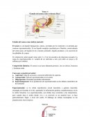 Tema: 4 “Estudio del semen como evidencia física”