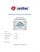 Comercio Electrónico CHOCOLATE DE VERAS